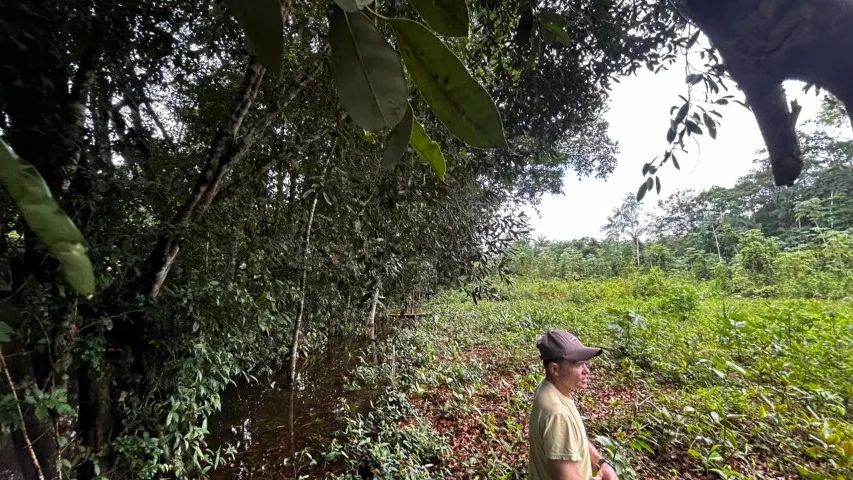 Terreno 3.000m² às margem do Rio Matapi - Foto 3