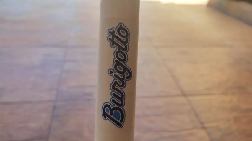 Banheira Burigotto - Foto 4