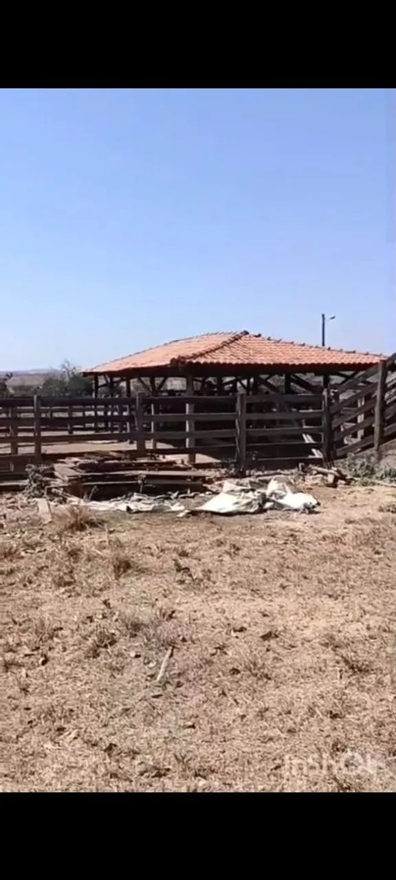 Foto - Padre Bernardo - 