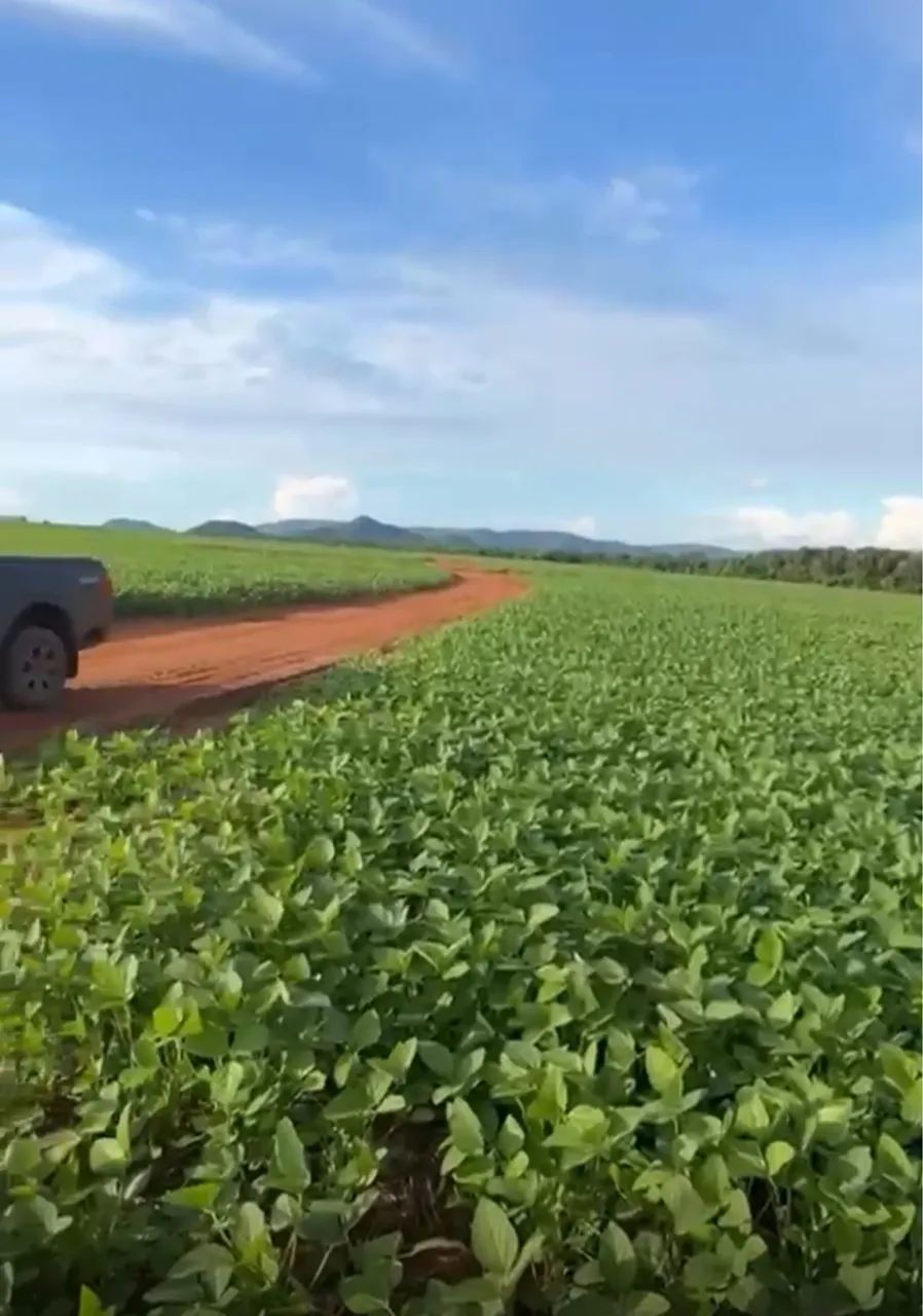 Fazenda terra de cultura, dupla aptidão - Foto 3