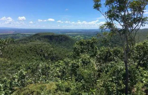 Fazenda Bebedouro | Baliza/GO - 387,20 ha - Foto 3