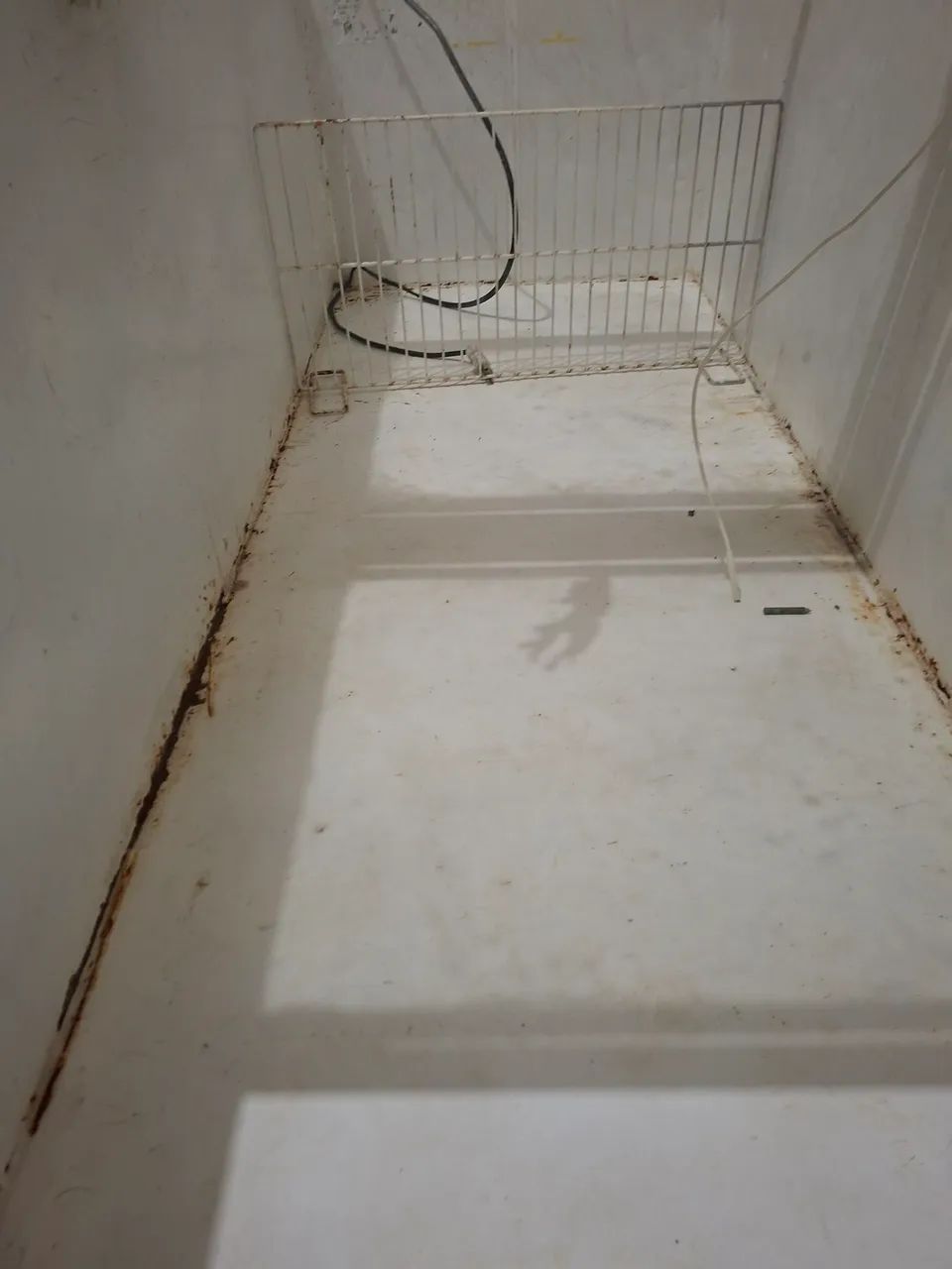Ilha de congelado  - Foto 2