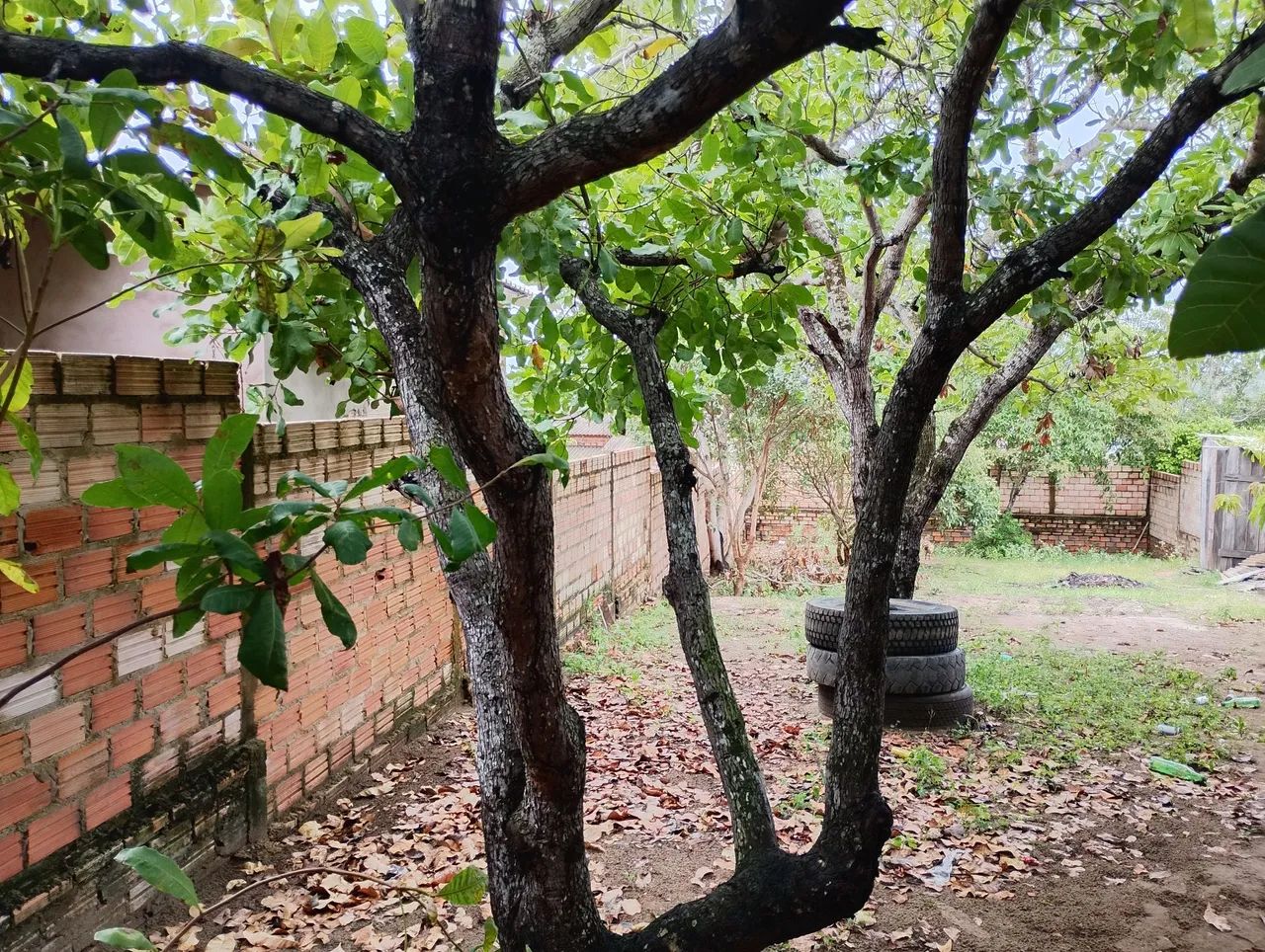 Vendo casa pequena. - Foto 4