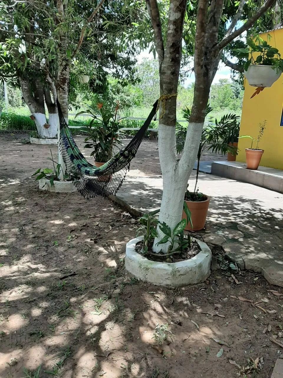 Vendo Chacara 1 hectare e meio com 02 suítes rio Coxipo - Foto 3