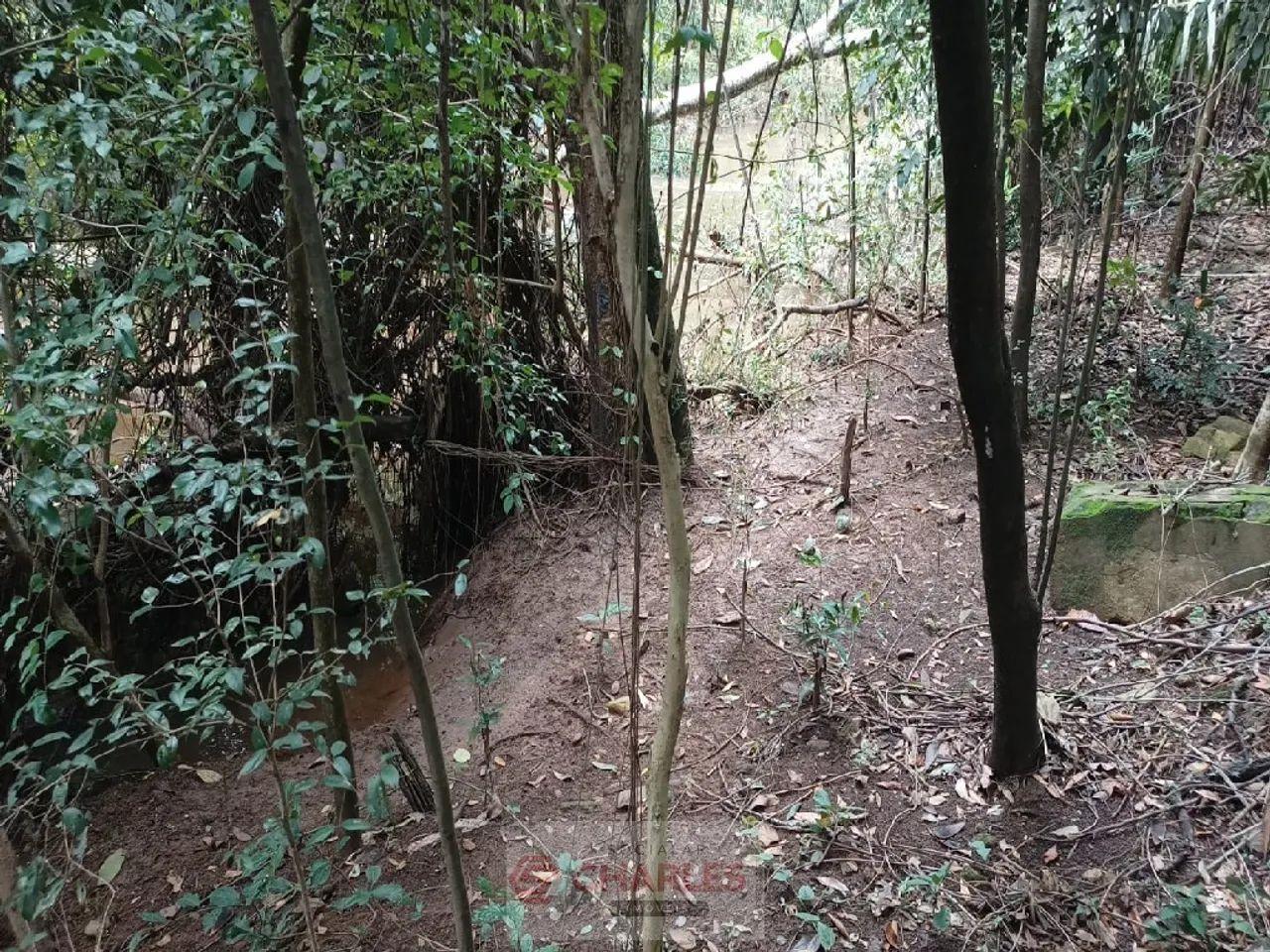 Área Acima De 500m2 Para Venda CENTRO CONCHAL - Foto 3