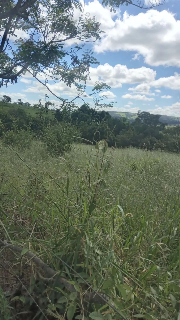 Vendo uma chacara - Foto 5