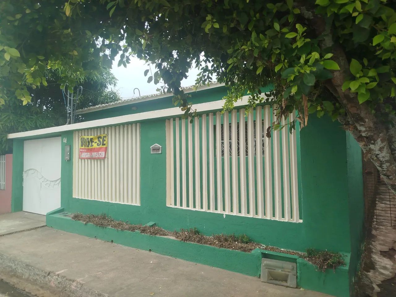 Foto - Palmeira dos Índios - Palmeira de Fora