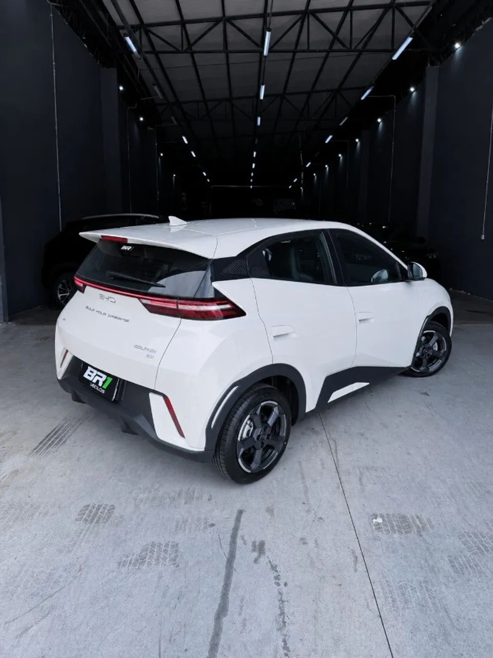 BYD Dolphin Mini (Elétrico) 2025