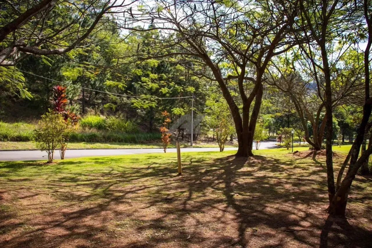 terreno - Joaquim Egídio - Campinas - Foto 5