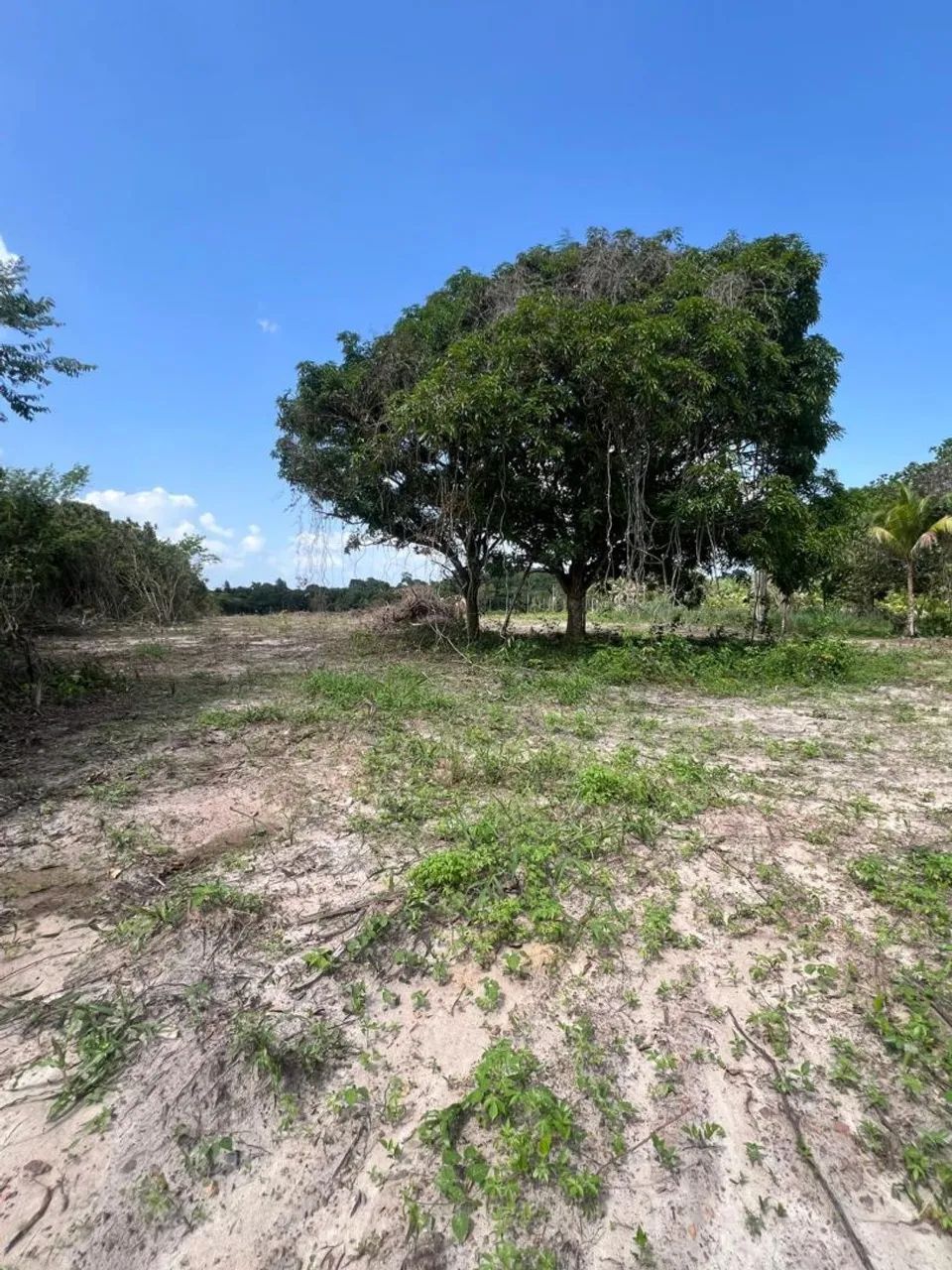Foto - Castanhal - São José