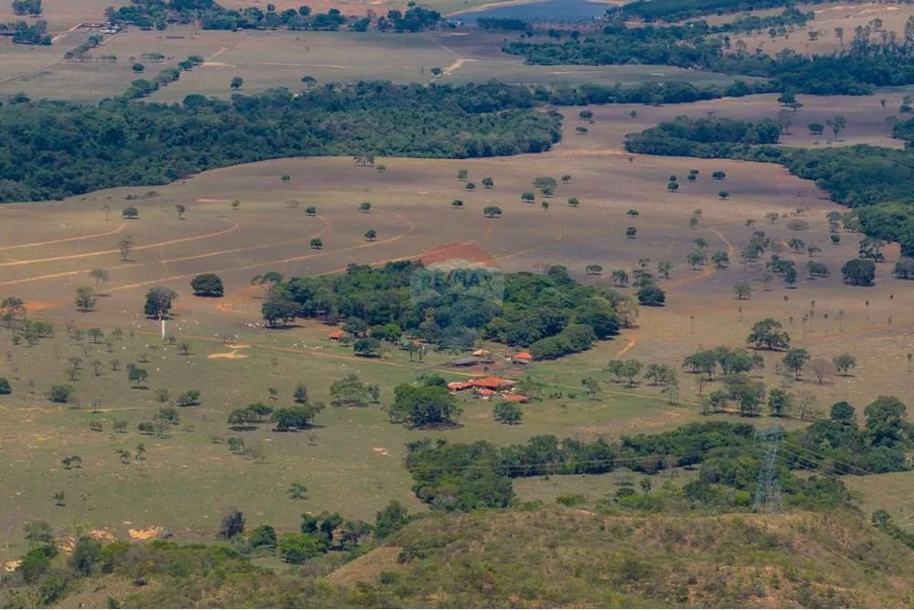 FAZENDA À VENDA  OPORTUNIDADE NO PADEF (DF/GO) - Foto 5