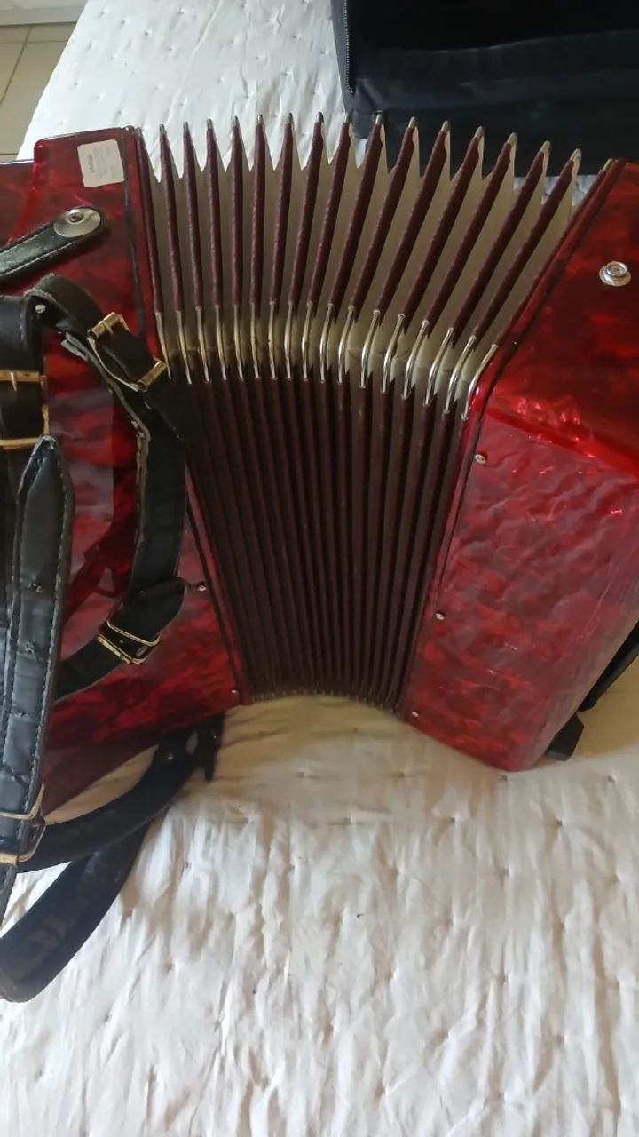 ACORDEON - Marca DOLPHIN - Foto 2