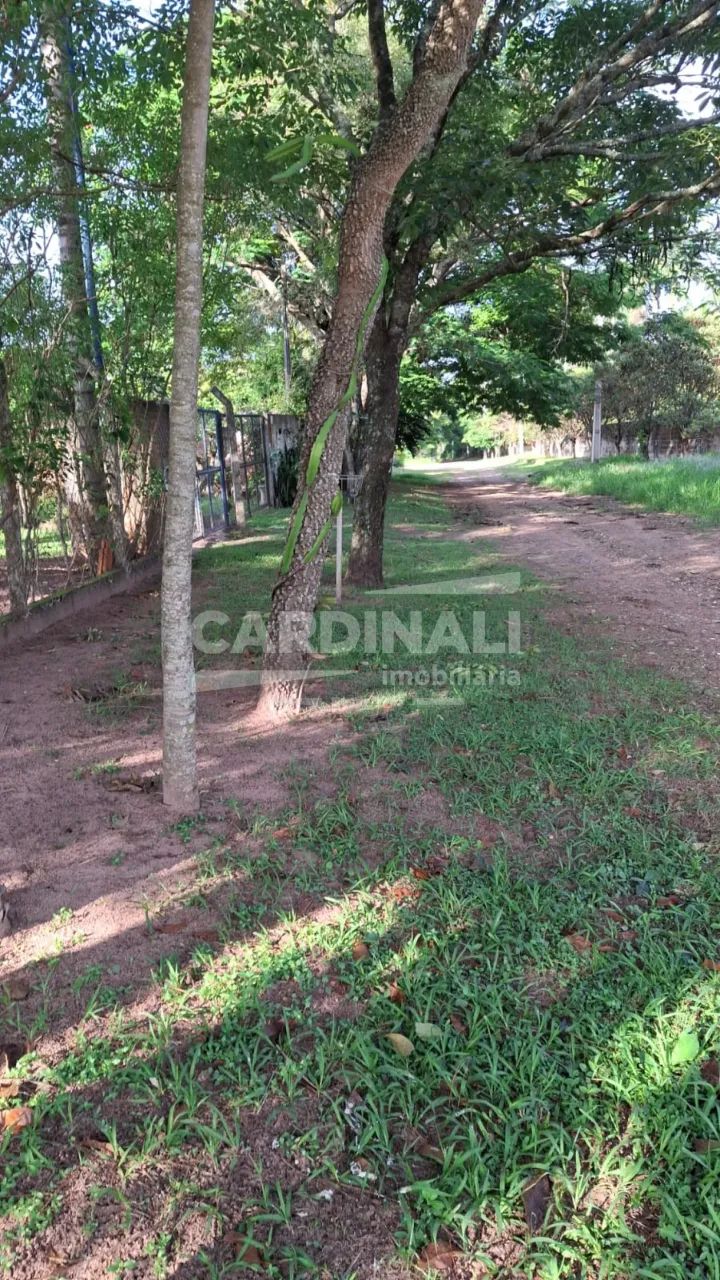 Rural Área em Itirapina - Foto 2