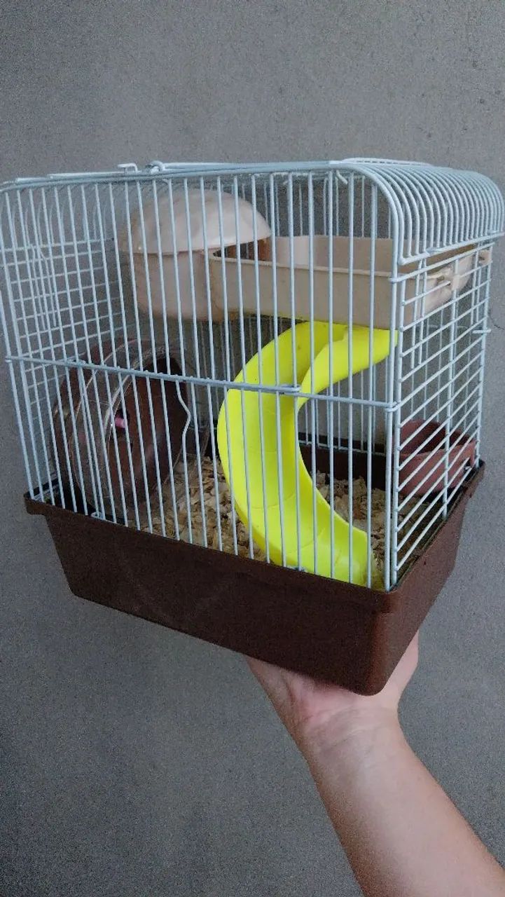 Gaiola para hamster, aceito proposta.