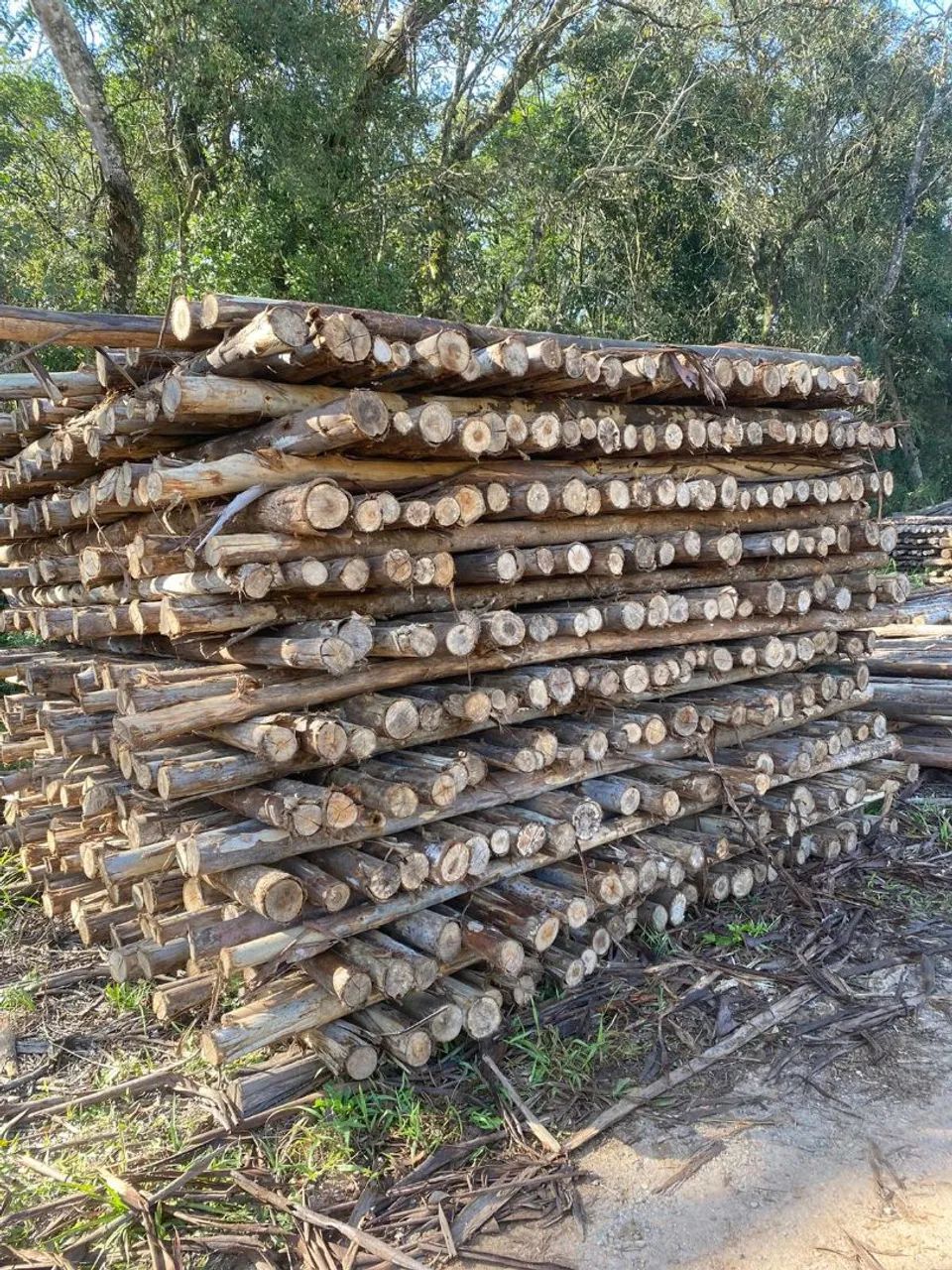 LAJE E TIJOLOS  - Foto 3