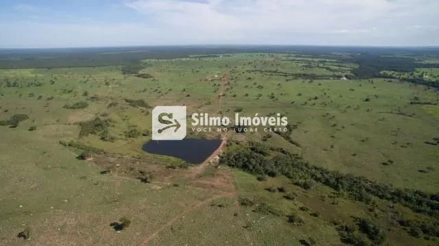 Venda Fazenda ÁREA RURAL DE LAGOA DA CONFUSÃO - Foto 4