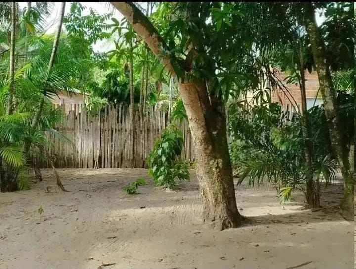 TERRENOS QUITADO E DOCUMENTADO - Foto 5