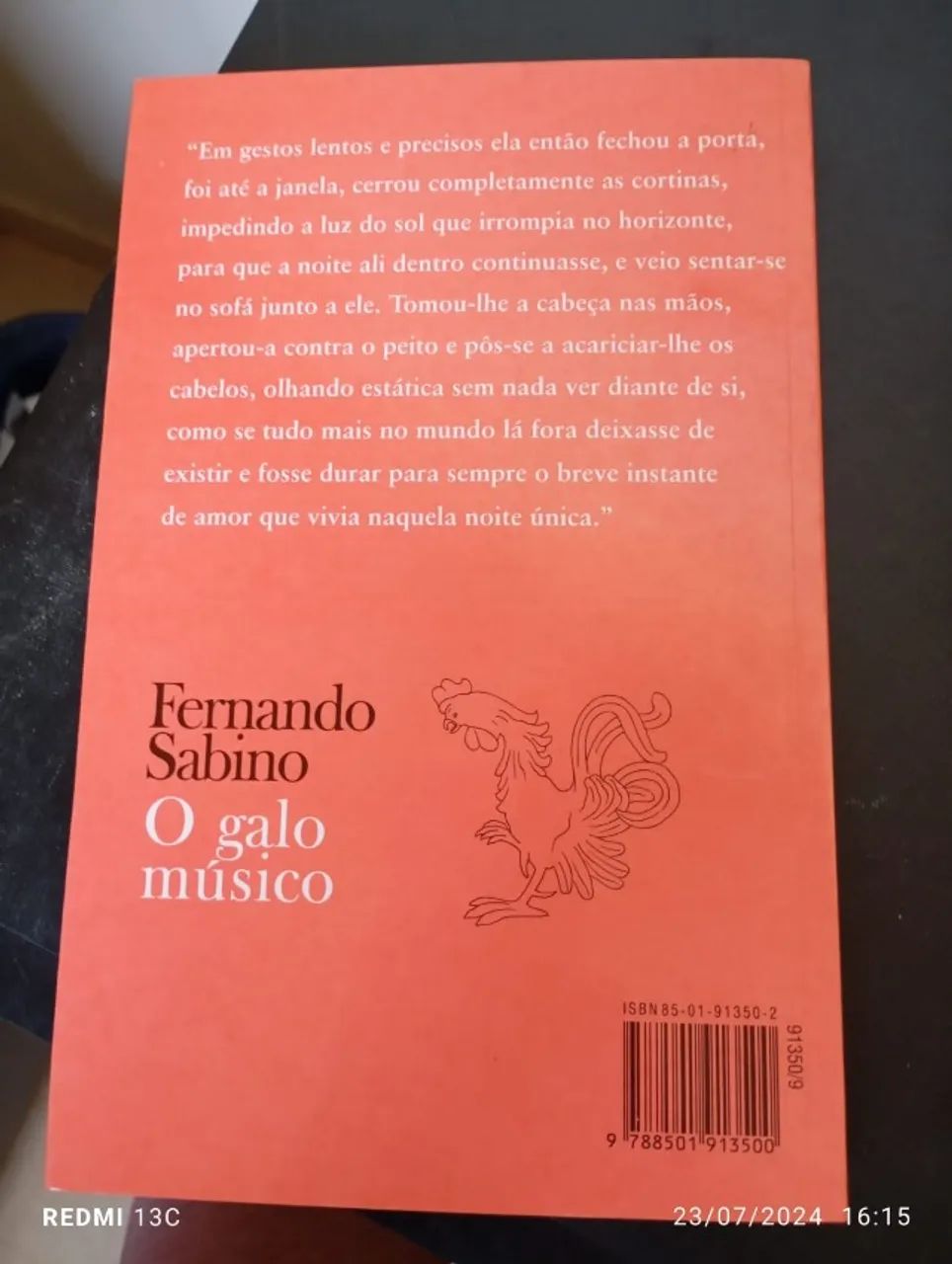 O galo músico - Foto 2