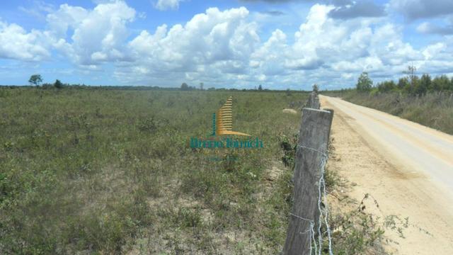 Fazenda em Eunápolis - Foto 3