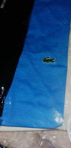 Camisa Lacoste, M