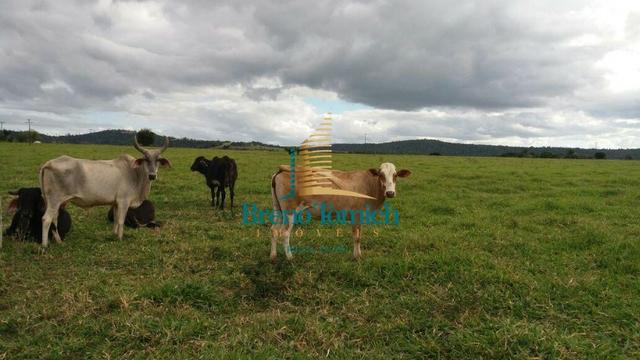 Fazenda Itamaraju