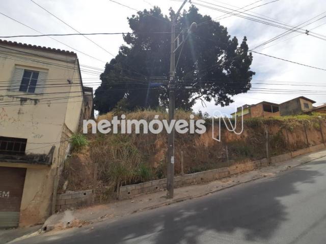 Terreno à venda em Alto dos pinheiros, Belo horizonte cod:767073 - Foto 20