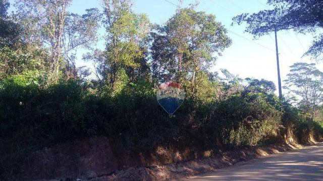 Terreno na estrada de arraial - trancoso - Foto 6