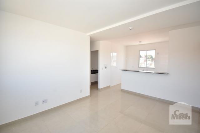 Apartamento à venda com 3 dormitórios em Caiçaras, Belo horizonte cod:238237 - Foto 2