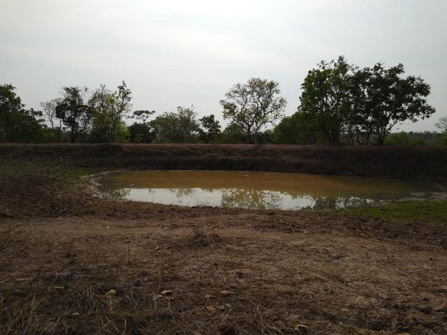 Chácara - Foto 6