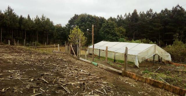 Sítio na Vila Rural (Queimadas) em Inácio Martins - Área: 5,044.09 m² - Foto 10
