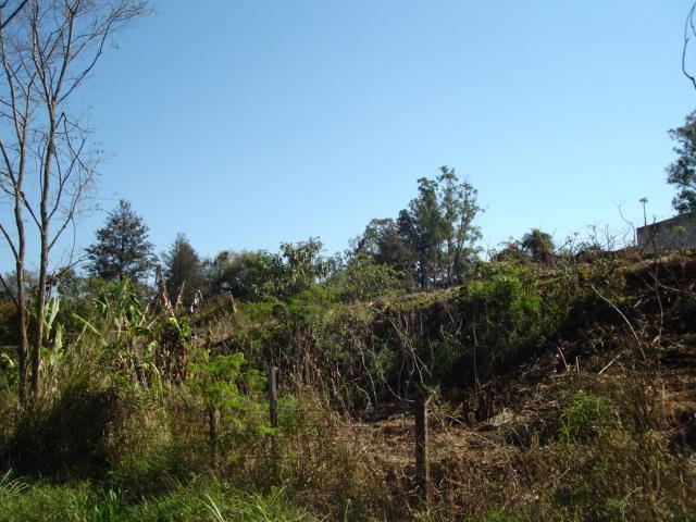 Terreno para alugar em Fazenda gleba palhano, Distrito espirito santo cod:00611.008 - Foto 2