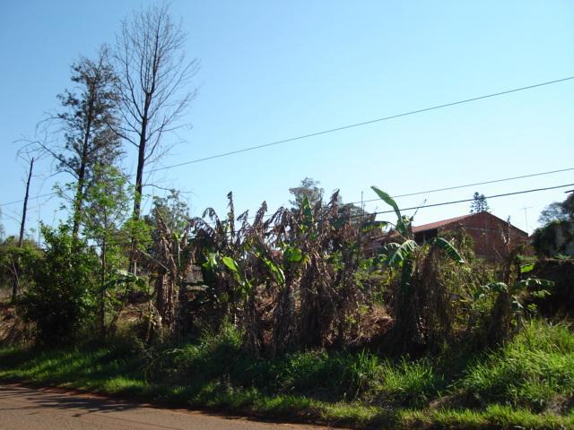 Terreno para alugar em Fazenda gleba palhano, Distrito espirito santo cod:00611.008 - Foto 3