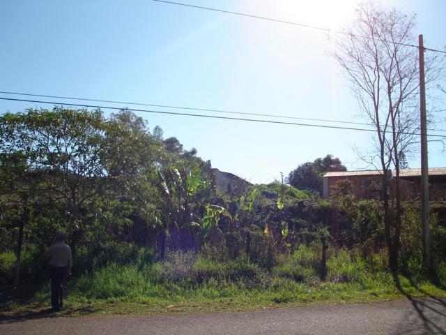 Terreno para alugar em Fazenda gleba palhano, Distrito espirito santo cod:00611.008 - Foto 5