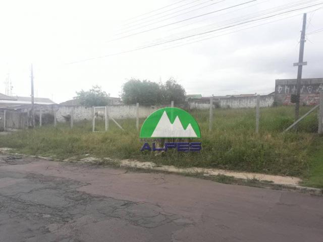 Terreno à venda, 880 m² por r$ 1.100.000 - novo mundo - curitiba/pr - Foto 5