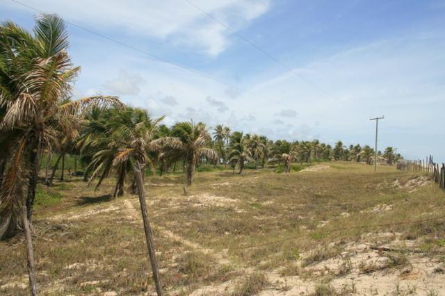 Terreno escriturado em Siribinha - Foto 3
