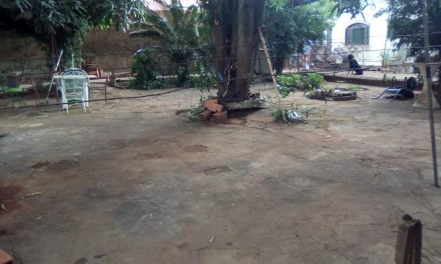 Lote p/ alugar