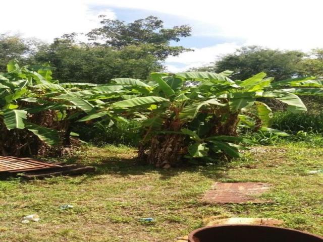 Chácara à venda com 3 dormitórios em Zona rural, Cezarina cod:em527 - Foto 11