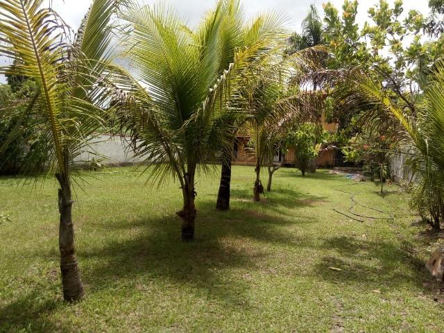 Caetano Imóveis - Sítio em Agro Brasil com casa sede 2 andares - Foto 10