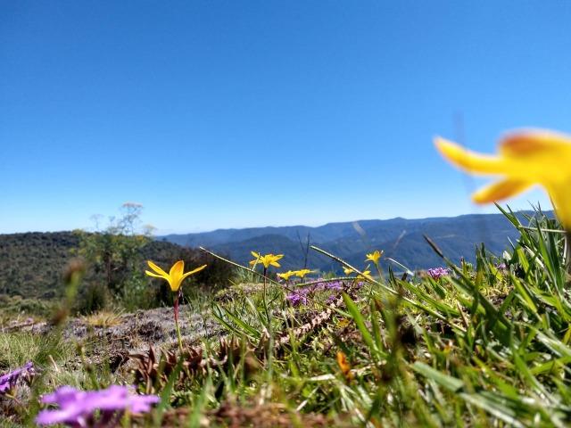 Sitio em Urubici/ área rural /chácara - Foto 7