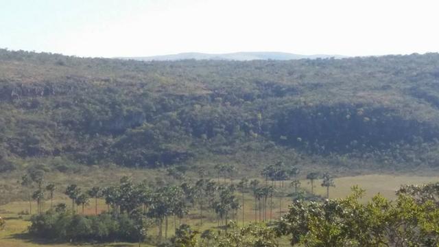 Chácara ha 14 Km de Alto Paraíso de Goiás - Chapada dos Veadeiros - Foto 10