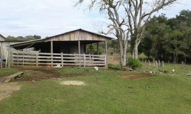 Ótim chácara geradora de rendimentos com 08 ha. - Foto 4