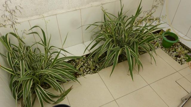 Venda casa Duplex no centro, em condomínio fechado. Aproveite!! - Foto 2