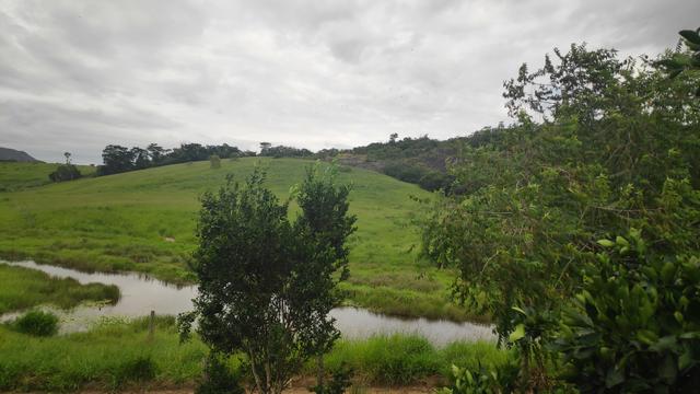 Vendo Fazenda Nova Venécia - 17 Alqueires - Foto 6