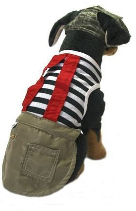 Roupa chaves para Pet - Foto 2