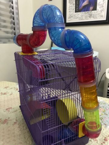 Gaiola para Hamster com labirinto - Foto 2