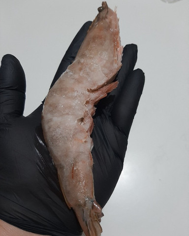 Pescados camarão linguado marisco polvo