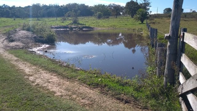 "Ótimo sítio 35 ha" - Sidrolândia MS, Brasil - Foto 12