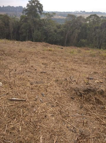 08D Pode ser seu !! 1000m² - Foto 2