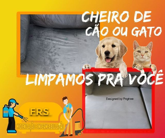 Limpeza de sofás a seco - Foto 6