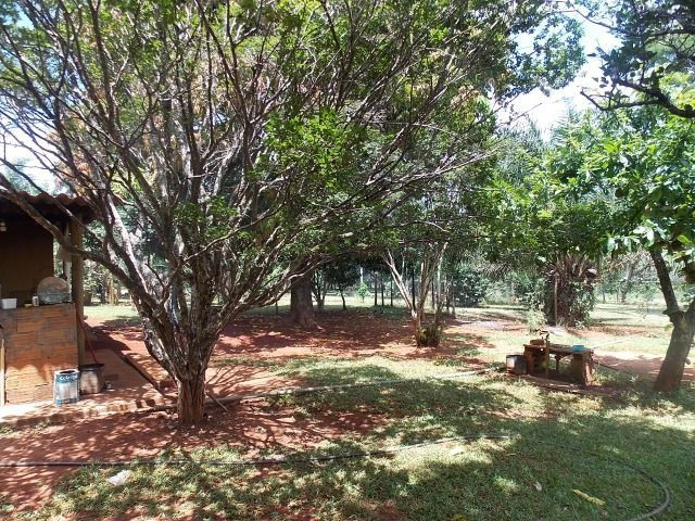 Chácara Excelente 2,5 Alqueires, Próximo à Rozelandia-Bela Vista de Goiás - Foto 11